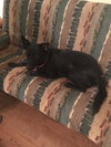 Sadie Sue