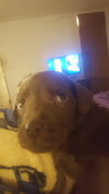 Rudy