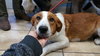 Ember