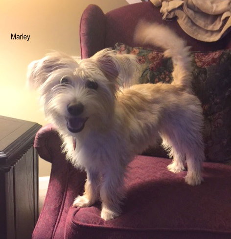 Marley