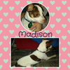 Maddie