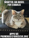 Charlie
