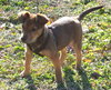 Baxter