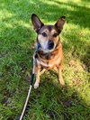 Baxter