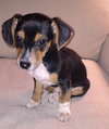 Percy