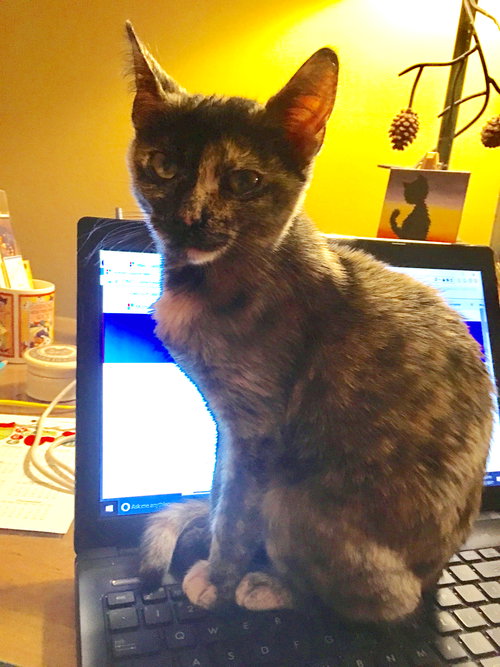Lilah