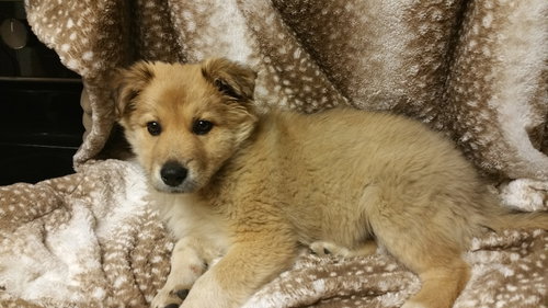 Winnie