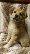 Winnie