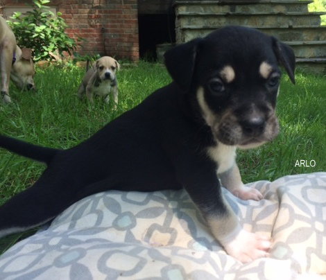 Tucker