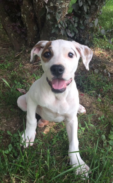 Tucker