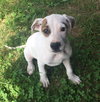Tucker