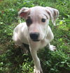Tucker