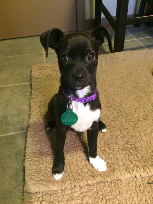 Tucker