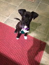 Tucker