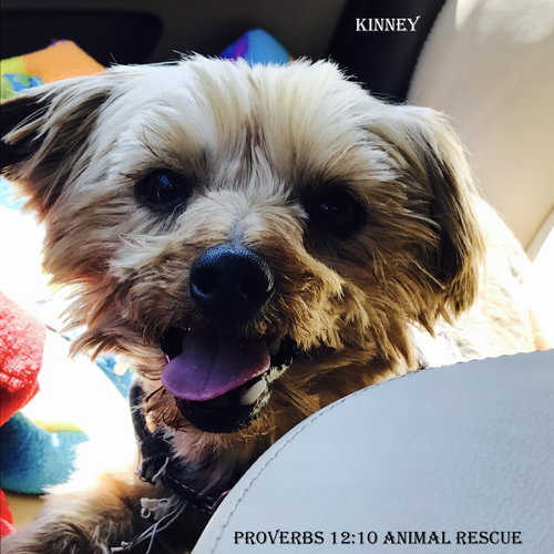 Kinney