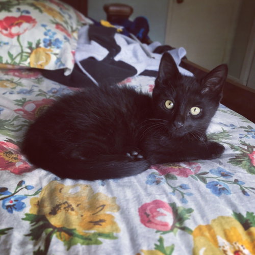 Denny