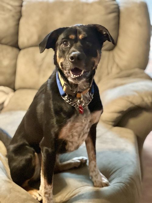 Murphy