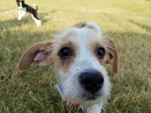 Lenny