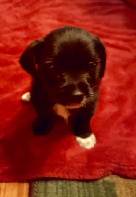 Matilda
