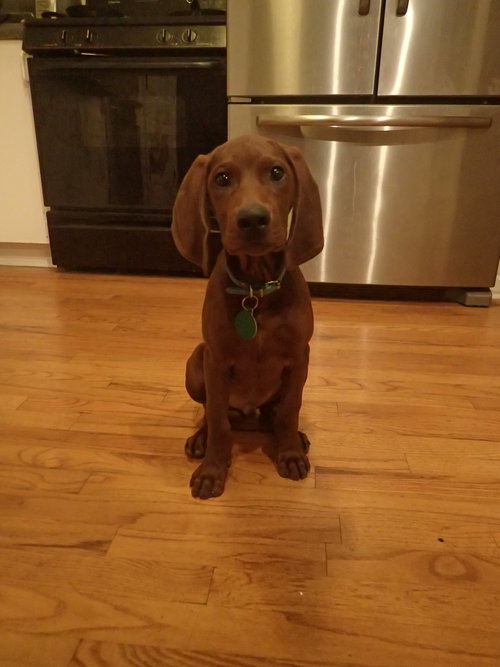 Ori