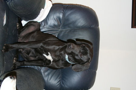 Wilma