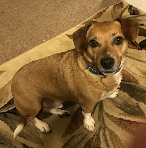 Max