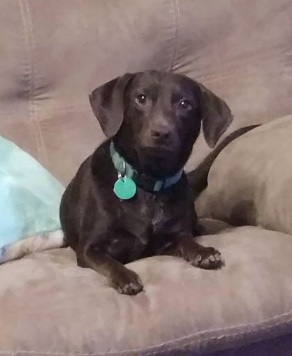 Gus