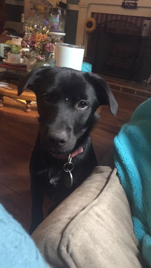 Bonnie