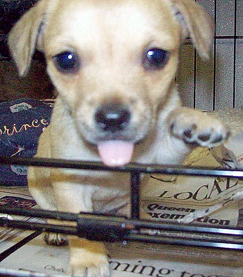 Rita