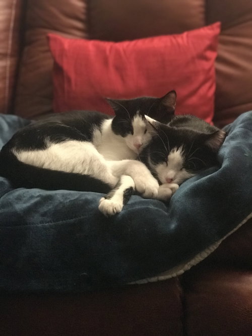 Alice & Sweet Pea