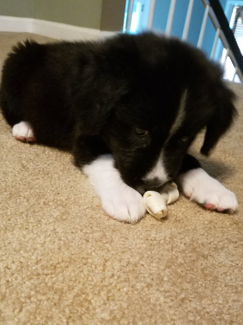 Lucy