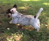 Tucker