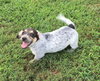 Tucker