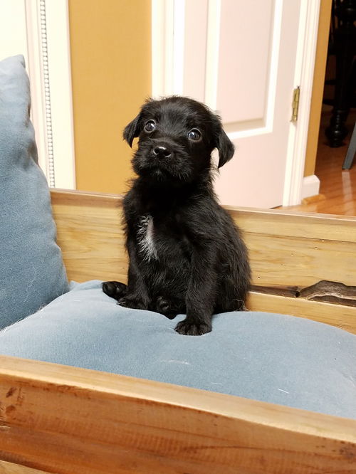 Eli