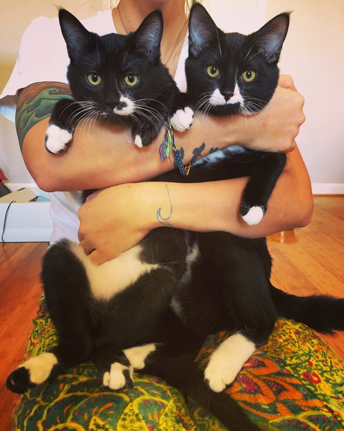 Jack & Sebastian