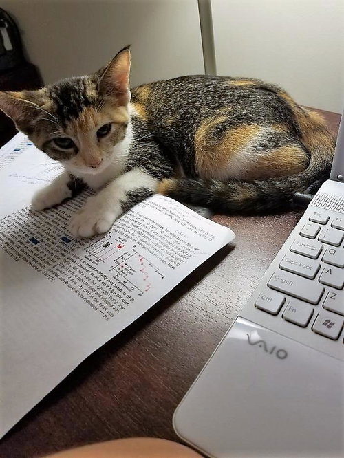 Mittens