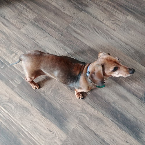 Chloe