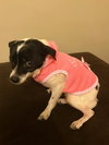 Rosie