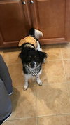 Benny