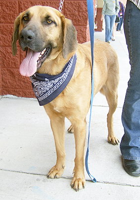 Dudley