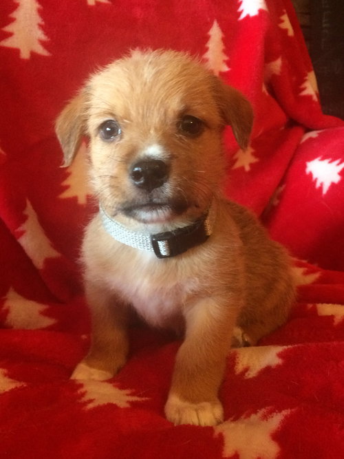 Truman