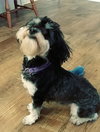 Bailey