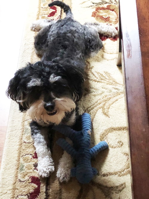 Bailey