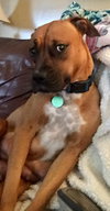 Chloe