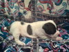 Wilma