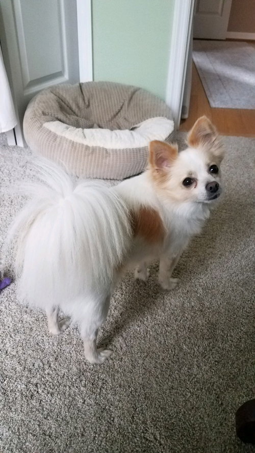 Sam