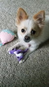 Sam