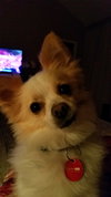 Sam