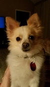 Sam