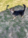 Remus